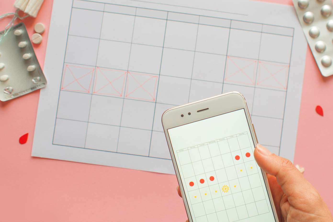 Menstrual cycle. Calendar for the month with marks and a mobile application on the smartphone screen.